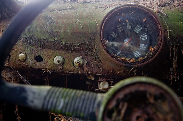 Кладбище старинных автомобилей в бельгийском лесу (ФОТО)