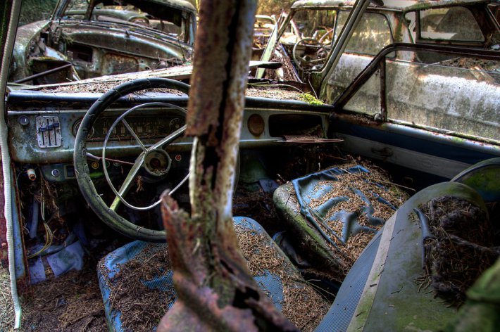 Кладбище старинных автомобилей в бельгийском лесу (ФОТО)