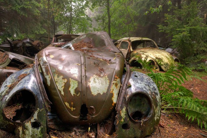 Кладбище старинных автомобилей в бельгийском лесу (ФОТО)