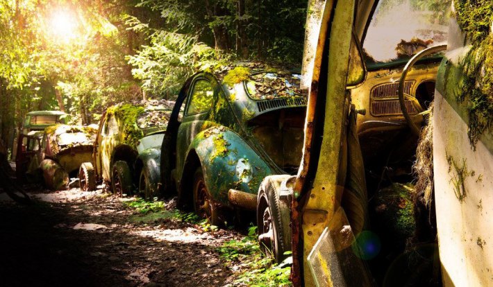 Кладбище старинных автомобилей в бельгийском лесу (ФОТО)