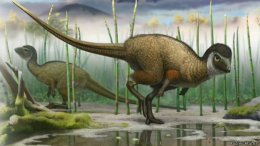 Ученые выяснили: все динозавры были покрыты перьями
