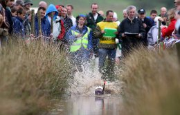 В Северной Ирландии прошел чемпионат по плаванию в болоте