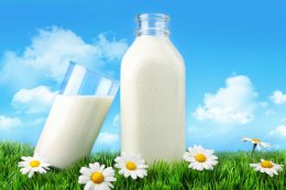 Беларусь может запретить импорт молока и мяса из Украины