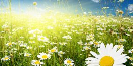 Погода в Украине на пятницу, 1 августа