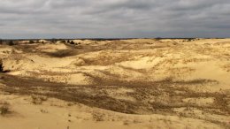 Игорная зона в Украине должна находиться в пустыне, - эксперт