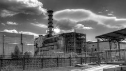 В Кабмине инициируют создание Чернобыльского биосферного заповедника