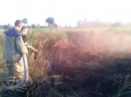 В Киевской области горят торфяники