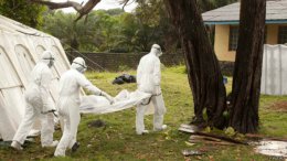Эксперты ВОЗ обсудили распространение лихорадки Эбола на саммите в Швейцарии
