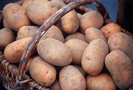 Ученые рассказали о пользе картофеля
