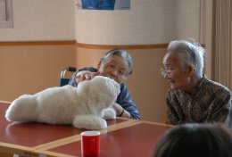 Новая разработка японских ученых поможет спасти человека от одиночества