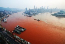 Экономическое развитие Китая нанесло серьезный ущерб экосистеме страны
