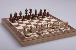 Украинцы преуспели на Всемирной шахматной Олимпиаде