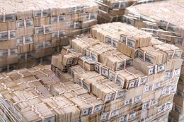 Кто виноват в падении курса гривны?