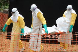 В Сербии взяты под наблюдение медиков 14 человек с подозрением на вирус Эбола