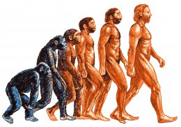 10 интересных фактов об эволюции человека