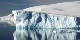 Нашу планету может постигнуть серьезная эпидемия