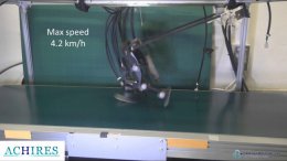Японцы сконструировали скоростного двуногого робота (ВИДЕО)