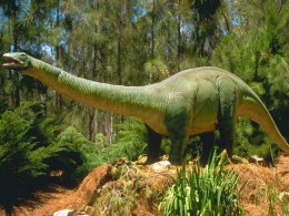 Найден самый крупный динозавр в мире (ВИДЕО)