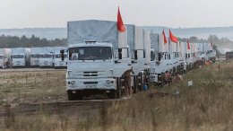 Украина сама виновата в том, что не досматривала гуманитарный груз, - Синицын