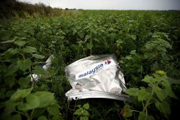 В Германии объявили огромное вознаграждение за заказчиков катастрофы малазийского Боинга