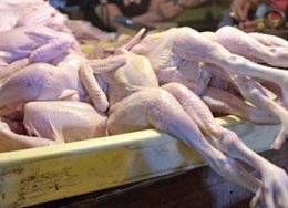 Украина намеревается занять весомую роль на рынке курятины Евросоюза
