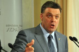 "Свобода" готова самостоятельно люстрировать силовые органы