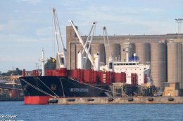 На сухогрузе Western Copenhagen, который стоит в Одесском порту, могут отменить карантин