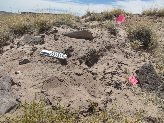 В Аризоне найдена вторая за последний год деревня возрастом 1300 лет (ФОТО)