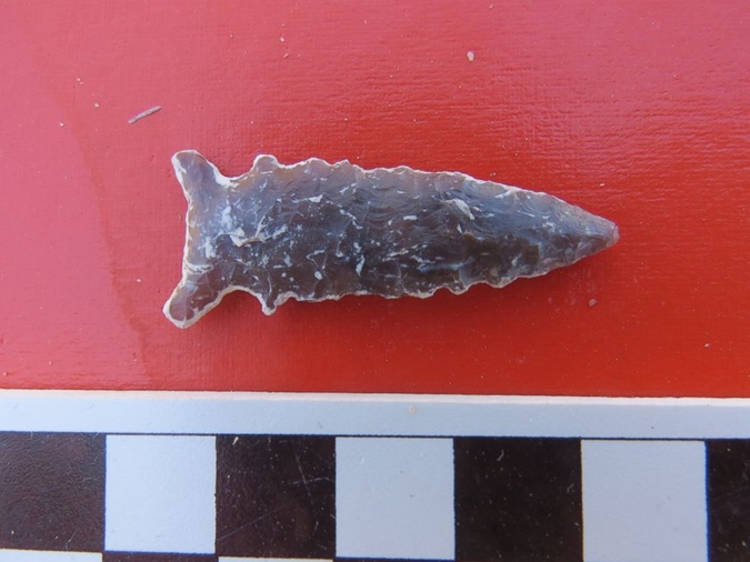 В Аризоне найдена вторая за последний год деревня возрастом 1300 лет (ФОТО) В Аризоне найдена вторая за последний год деревня возрастом 1300 лет (ФОТО)