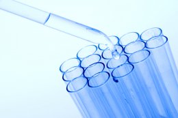 Анализы для опознания тел погибших будут осуществляться за счет государства (ВИДЕО)