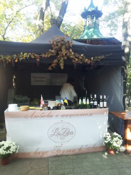 В Киеве открылся праздник грузинской культуры (ВИДЕО)