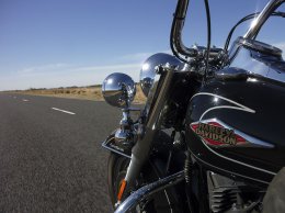 В Австралии мотоциклист погиб в результате столкновения с крупной птицей эму