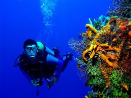 Ученые разработали способ, как дышать под водой без акваланга
