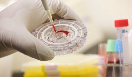 Лихорадка Эбола может перекинуться из Испании во Францию и Великобританию