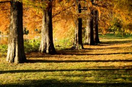 Погода в Украине на пятницу, 10 октября