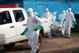 Вирус Эбола уже в Сербии: изолировано более 700 человек
