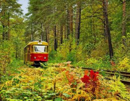 Погода в Украине на выходные, 11 и 12 октября