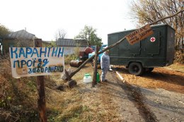 На Киевщине вспышка Африканской чумы. Село Круты "законсервировали"