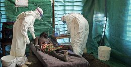 Сенегал стал первой страной, где удалось остановить эпидемию лихорадки Эбола