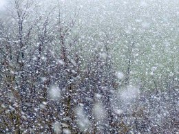В Украине выпал первый снег (ВИДЕО)