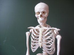 В Румынии школьники учат анатомию по скелету бывшего директора школы (ВИДЕО)