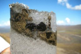 Ученые нашли в замороженных фекалиях оленей древний вирус
