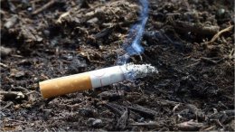 Ученые предлагают использовать сигаретные фильтры при производстве конденсаторов