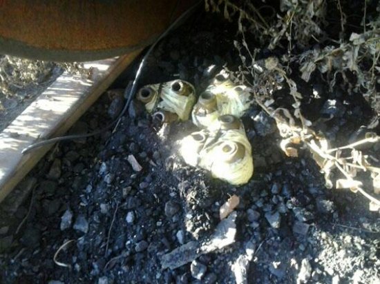 Вблизи Дебальцево боевики заминировали цистерны с горюче-смазочными материалами (ФОТО)