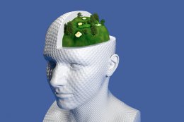 Ученые расшифровали, как работает система навигации нашего мозга