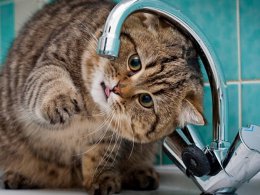 Харьков может остаться без воды