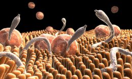 10 симптомов наличия в организме паразитов