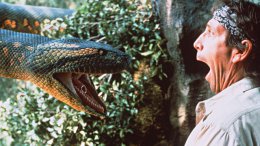 Discovery покажет в эфире реалити-шоу, как дикая анаконда съест живого человека (ВИДЕО)