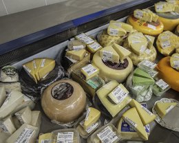 Из-за санкций против России, датско-шведская компания раздаст 15 тонн сыра бездомным