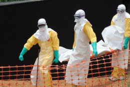 В ООН заявили о нехватке медицинского персонала для лечения лихорадки Эбола